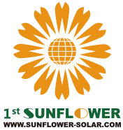 Sonnenblume Solar